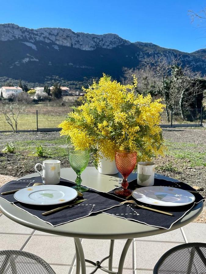 Domaine Mas Terra Bed & Breakfast Saint-Paul-de-Fenouillet