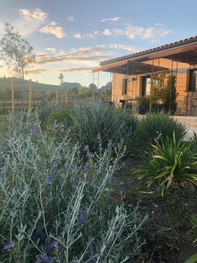 Bed & Breakfast Domaine Mas Terra